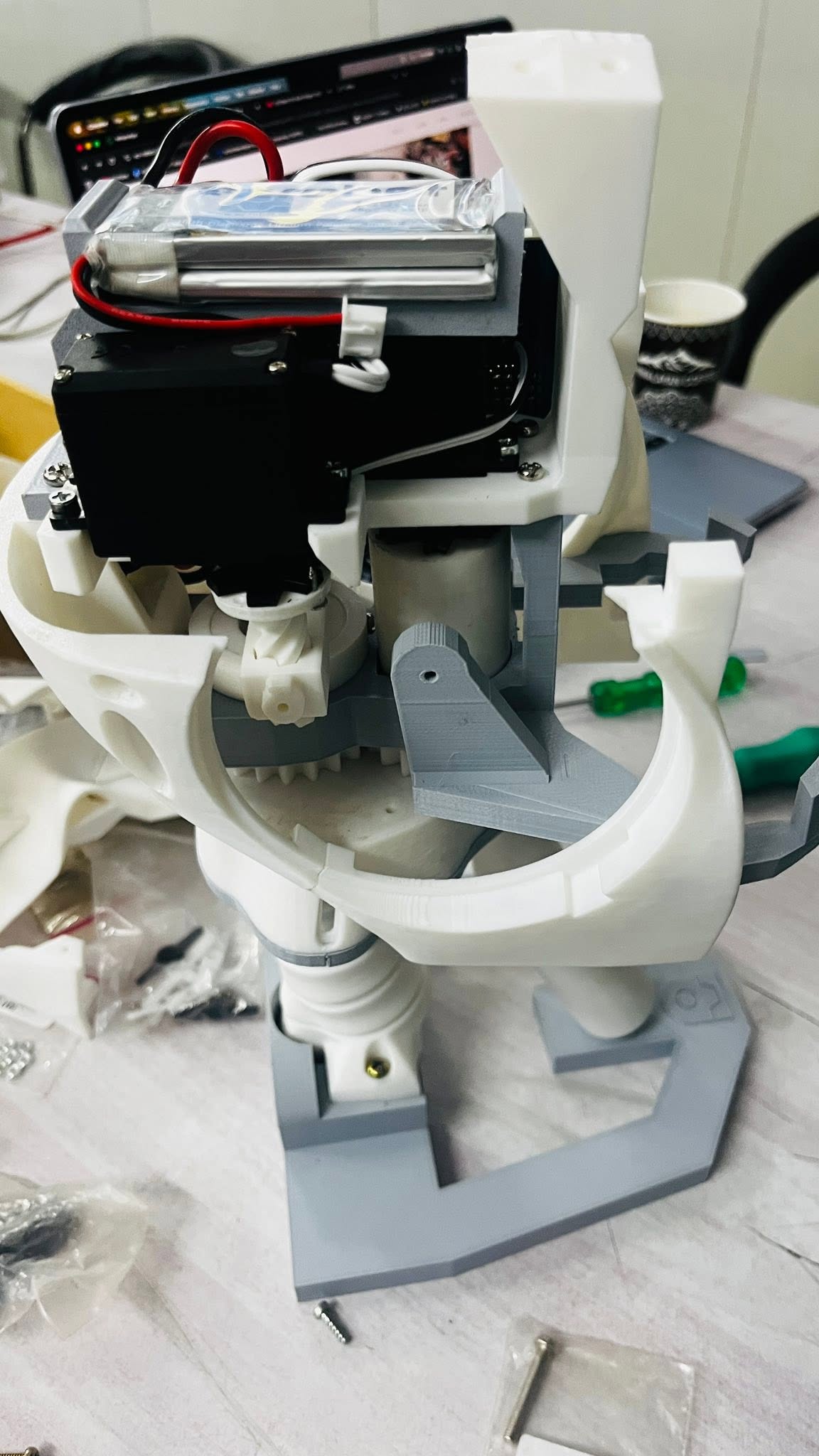 Robotic arm project